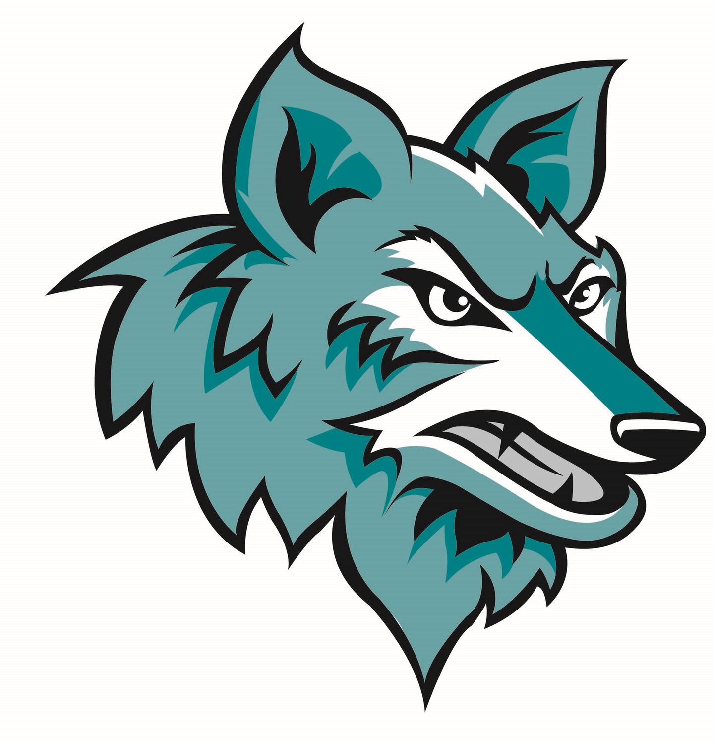 Chandler-Gilbert Community College logo